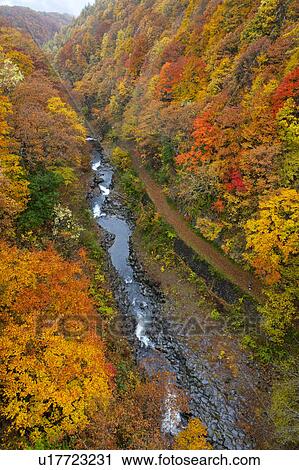 Stock Image - High Angle View of Nakatsugawa Valley in Autumn. Fotosearch