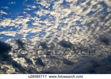 Stock Photo - High Clouds in Evening Sky. Fotosearch
