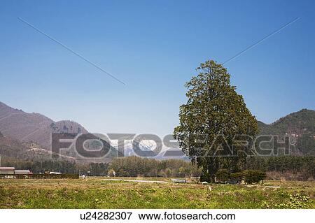 Highland and Mountains View Large Photo Image Stock Photo - Highland and Mountains. Fotosearch