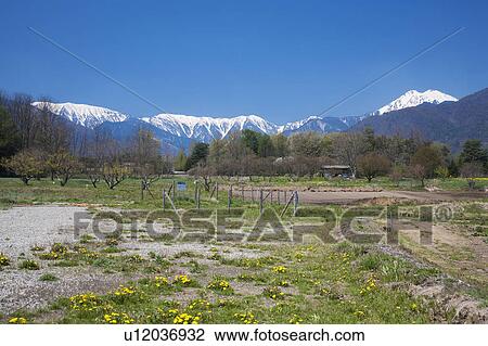 Stock Image - Highland and Snowcapped Mountains in the Background. Fotosearch