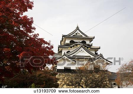 Hikone Castle, Shiga Prefecture, Honshu, Japan View Large Photo Image Stock Photo - Hikone Castle, Shiga Prefecture, Honshu, Japan. Fotosearch