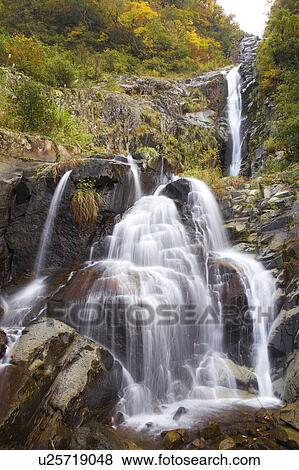 Stock Photo - Hotokegozen-no-taki waterfall in autumn, Fukui Prefecture, Honshu, Japan. Fotosearch