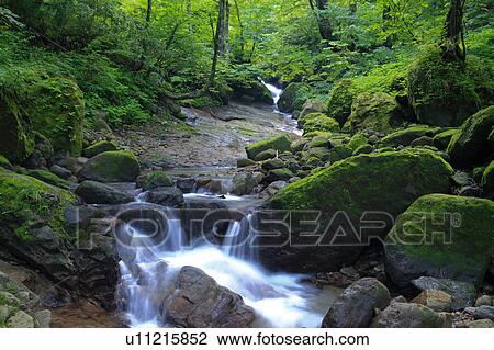 Stock Image - Hyakenname, Toyama Prefecture, Honshu, Japan. Fotosearch