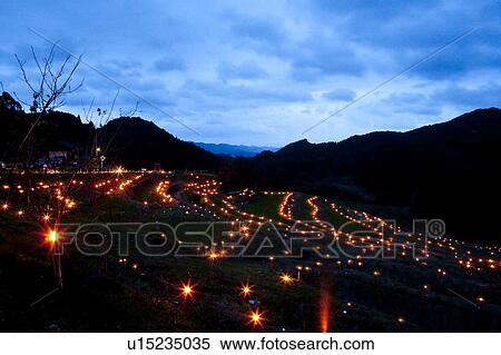 Stock Photography - Illuminated Rice Paddy. Fotosearch