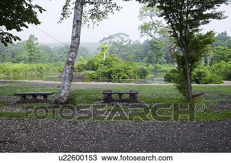 Imori pond, Niigata Prefecture, Honshu, Japan View Large Photo Image Stock Image - Imori pond, Niigata Prefecture, Honshu, Japan. Fotosearch