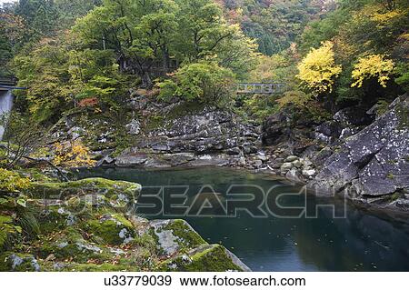 Ishitoro river in autumn, Fukui Prefecture, Honshu, Japan View Large Photo Image Stock Photo - Ishitoro river in autumn, Fukui Prefecture, Honshu, Japan. Fotosearch