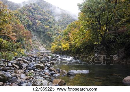Stock Photography - Ishitoro river in autumn, Fukui Prefecture, Honshu, Japan. Fotosearch