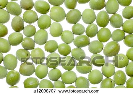 Stock Photo - Japanese apricot. Fotosearch