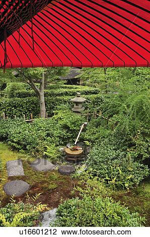 Japanese garden and red paper umbrella, Tokyo Prefecture, Honshu, Japan View Large Photo Image Stock Image - Japanese garden and red paper umbrella, Tokyo Prefecture, Honshu, Japan. Fotosearch