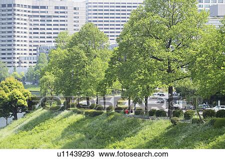 Stock Image - Joggers around imperial palace, Tokyo Prefecture, Honshu, Japan. Fotosearch