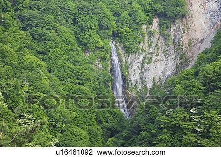 Stock Image - Kanman waterfall, Nagano Prefecture, Honshu, Japan. Fotosearch