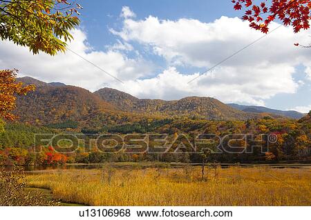Stock Photo - Kannon Swamp Park in Autumn. Fotosearch