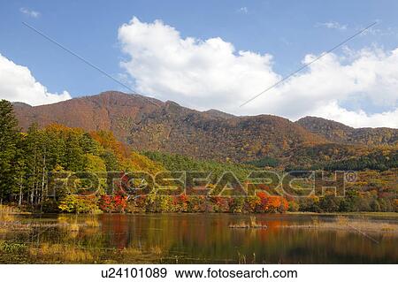 Stock Photo - Kannon Swamp Park in Autumn. Fotosearch
