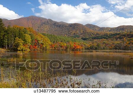 Kannon Swamp Park in Autumn View Large Photo Image Stock Photography - Kannon Swamp Park in Autumn. Fotosearch