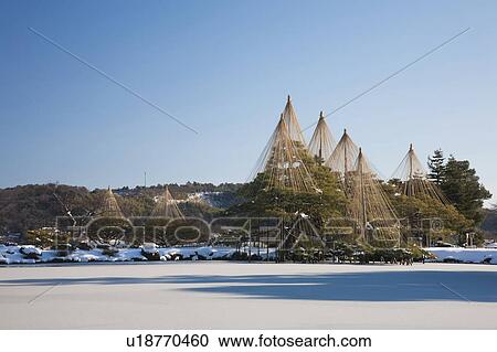 Stock Image - Kenroku garden in winter, Ishikawa Prefecture, Honshu, Japan. Fotosearch