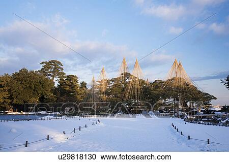 Stock Image - Kenroku garden in winter, Ishikawa Prefecture, Honshu, Japan. Fotosearch