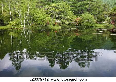 Stock Image - Komaide Pond at Yachiho Highland, Nagano Prefecture, Honshu, Japan. Fotosearch