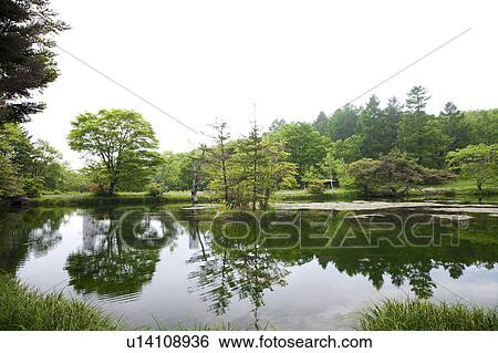 Komaide Pond at Yachiho Highland, Nagano Prefecture, Honshu, Japan View Large Photo Image Stock Photograph - Komaide Pond at Yachiho Highland, Nagano Prefecture, Honshu, Japan. Fotosearch