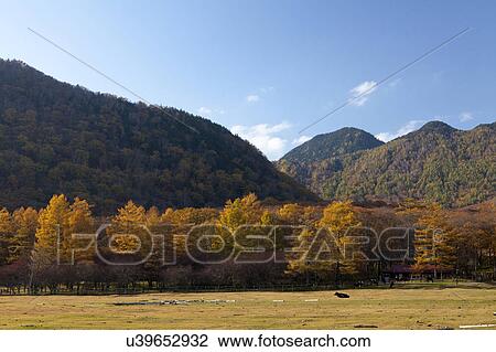 Stock Image - Kotoku Ranch in Autumn. Fotosearch