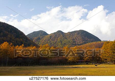 Stock Photograph - Kotoku Ranch in Autumn. Fotosearch