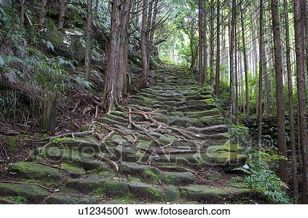 Kumano Kodo, Mie Prefecture, Honshu, Japan View Large Photo Image Stock Image - Kumano Kodo, Mie Prefecture, Honshu, Japan. Fotosearch