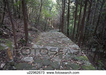 Stock Image - Kumano Kodo, Mie Prefecture, Honshu, Japan. Fotosearch