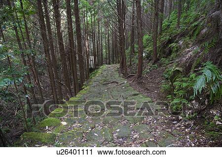 Stock Image - Kumano Kodo, Mie Prefecture, Honshu, Japan. Fotosearch