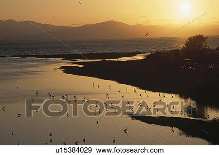 Lake Biwa at dusk, Shiga Prefecture, Honshu, Japan View Large Photo Image Stock Photo - Lake Biwa at dusk, Shiga Prefecture, Honshu, Japan. Fotosearch