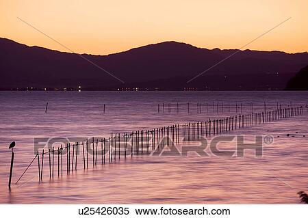 Lake Biwa at dusk, Shiga Prefecture, Honshu, Japan View Large Photo Image Stock Photography - Lake Biwa at dusk, Shiga Prefecture, Honshu, Japan. Fotosearch