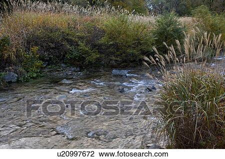 Stock Image - Lake Daigenta-Ko in Autumn. Fotosearch
