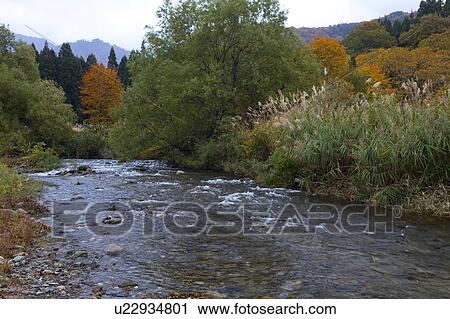 Lake Daigenta-Ko in Autumn View Large Photo Image Stock Image - Lake Daigenta-Ko in Autumn. Fotosearch