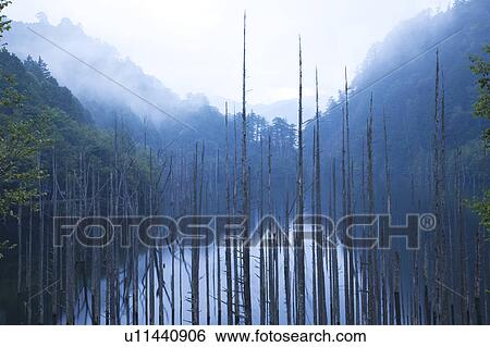 Stock Photograph - Lake Shizen, Nagano Prefecture, Honshu, Japan. Fotosearch
