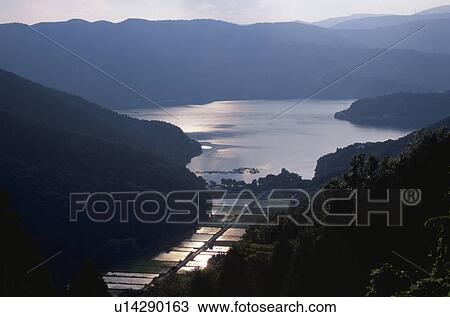 Stock Image - Lake Yogo, high angle view, Shiga Prefecture, Honshu, Japan. Fotosearch