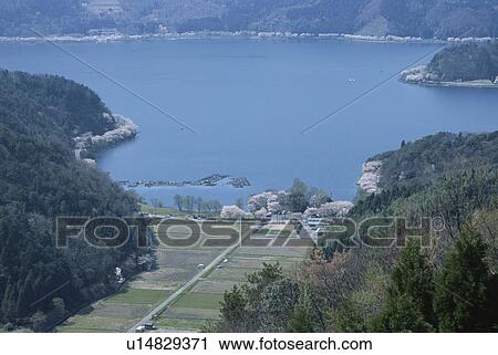 Lake Yogo, high angle view, Shiga Prefecture, Honshu, Japan View Large Photo Image Stock Image - Lake Yogo, high angle view, Shiga Prefecture, Honshu, Japan. Fotosearch
