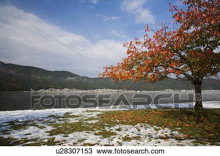 Lake Yogo in early winter, Shiga Prefecture, Honshu, Japan View Large Photo Image Stock Image - Lake Yogo in early winter, Shiga Prefecture, Honshu, Japan. Fotosearch