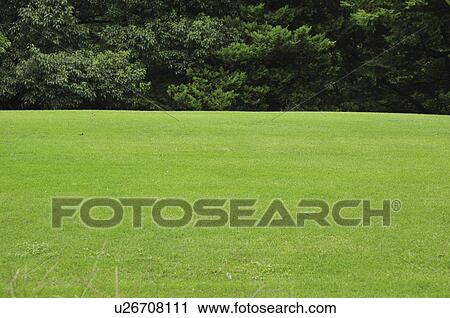 Stock Image - Lawn at Showa Memorial Park, Tokyo Prefecture, Honshu, Japan. Fotosearch