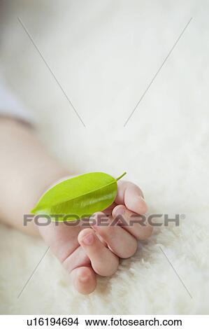 Picture - Leaf in Baby Boy's Hand. Fotosearch