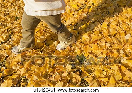 Stock Image - Low Section View of Young Boy Walking on Fallen Leaves. Fotosearch