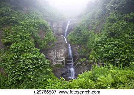 Stock Photo - Maboroshi-no-otaki waterfall, Niigata Prefecture, Honshu, Japan. Fotosearch