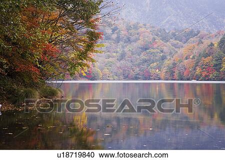 Stock Image - Marunuma pond in autumn, Gunma Prefecture, Honshu, Japan. Fotosearch