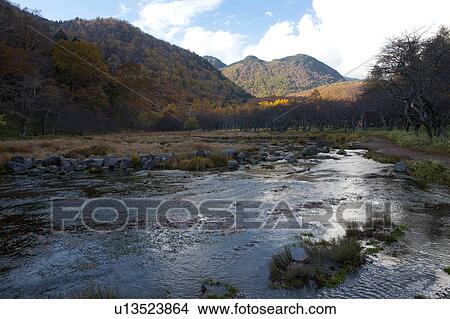 Picture - Mitsunori Swamp. Fotosearch