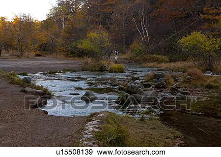 Mitsunori Swamp View Large Photo Image Stock Photo - Mitsunori Swamp. Fotosearch