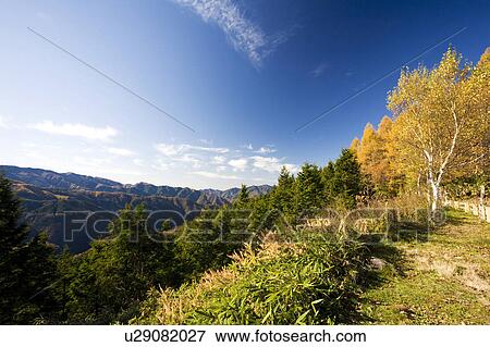 Stock Photo - Mountain in autumn, Gifu Prefecture, Honshu, Japan. Fotosearch