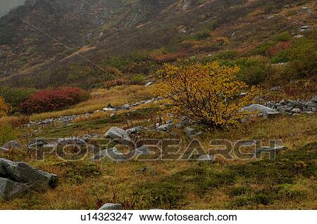 Mountain in Autumn View Large Photo Image Stock Photo - Mountain in Autumn. Fotosearch