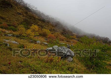 Mountain in Autumn View Large Photo Image Stock Photograph - Mountain in Autumn. Fotosearch