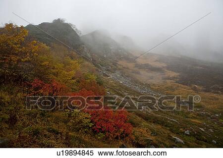 Stock Photography - Mountain in Fog. Fotosearch