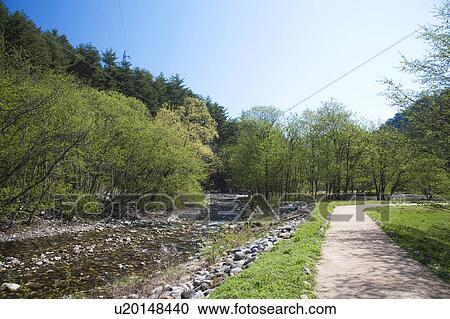 Mountain Path Along the River View Large Photo Image Stock Image - Mountain Path Along the River. Fotosearch