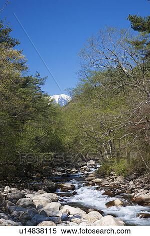 Stock Photography - Mountain River Running in the Woods, Snowcapped Mountain in the Background. Fotosearch