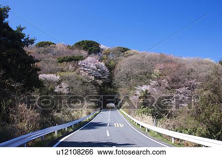 Stock Photograph - Mountain Road and Tunnel. Fotosearch