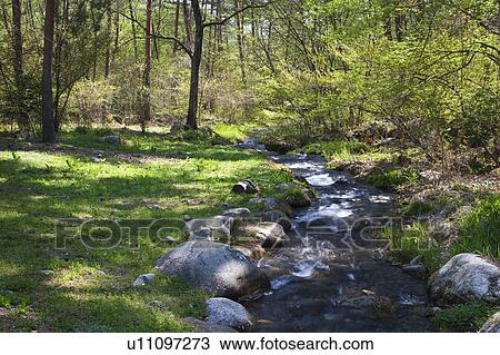 Stock Image - Mountain Stream . Fotosearch
